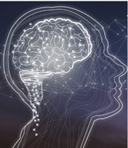 Comprehensive Attention Deficit and Hyperactive Disorder (ADHD) Assessment Comprehensive Attention Deficit and Hyperactive Disorder (ADHD) Assessment