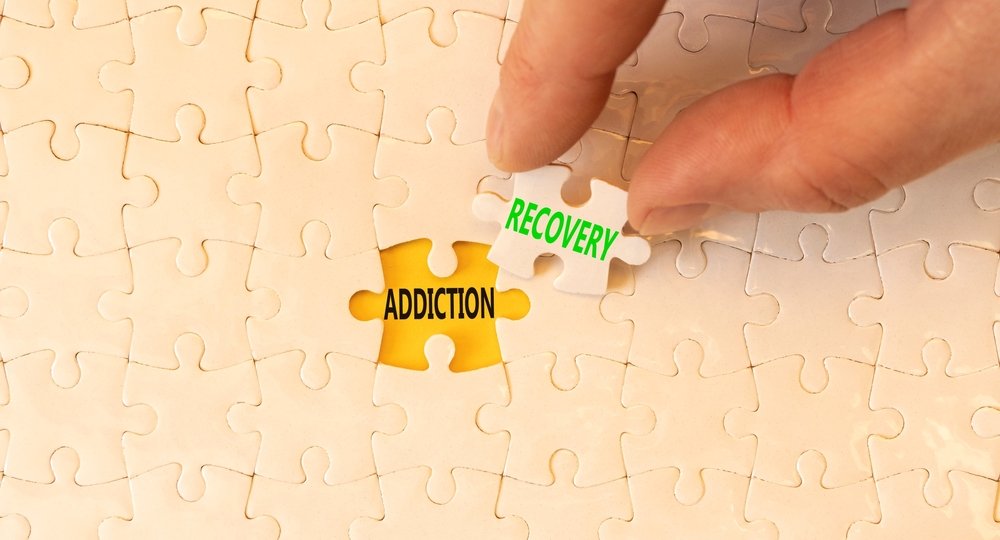 Recovery Puzzle Piece