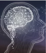 Comprehensive Attention Deficit and Hyperactive Disorder (ADHD) Assessment
