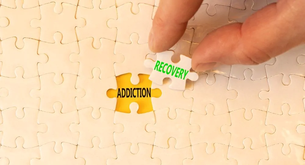 Recovery Puzzle Piece